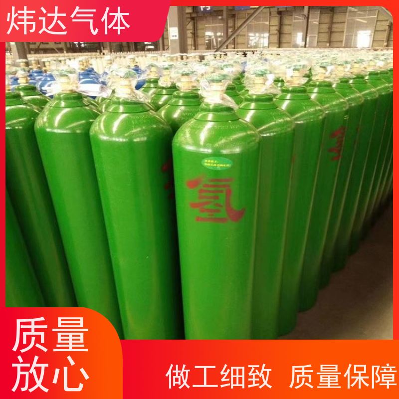 炜达气体 氢气发生器 AYAN-H300ml 实验室多功能高纯制氢气