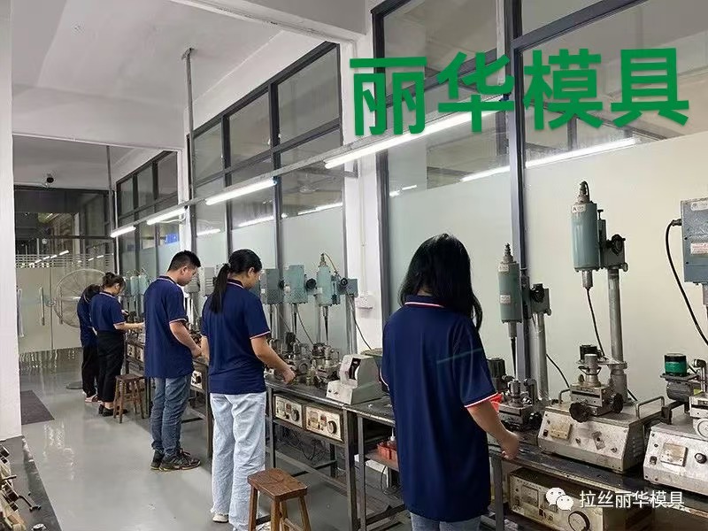 丽华 多头拉丝机 PCD合成聚晶钻石模 适用于金属丝线厂