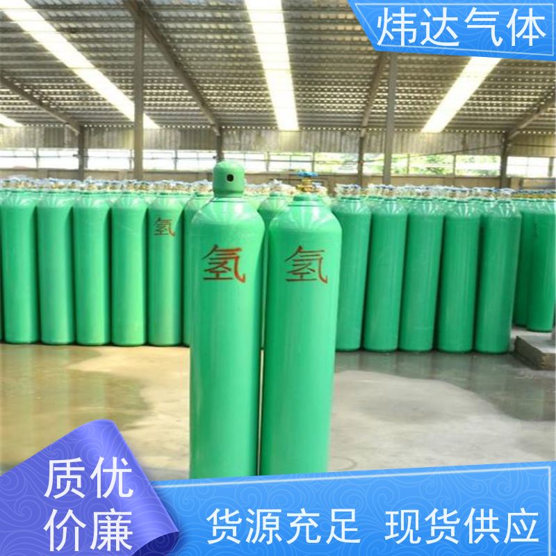 氢气纯度仪可测高纯氢超纯氢电解水制氢行业用测氢气含量及纯度