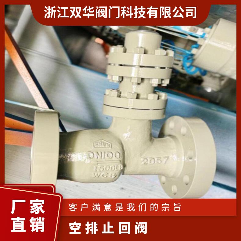 H48Y空排止回阀 防倒流电站专用高压法兰 再循环泵保护阀