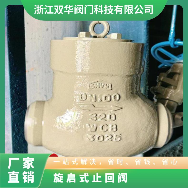 焊接 H64Y-100C中高压高温自密封止回阀旋启式电站专用 双华阀门