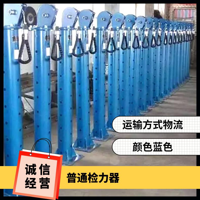 语音双人检力器 碳钢材质 使用简单便捷矿用救援训练设备
