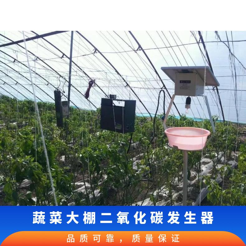 温室智能大棚CO2二氧化碳发生器气肥机30型促进植物光合作用增产