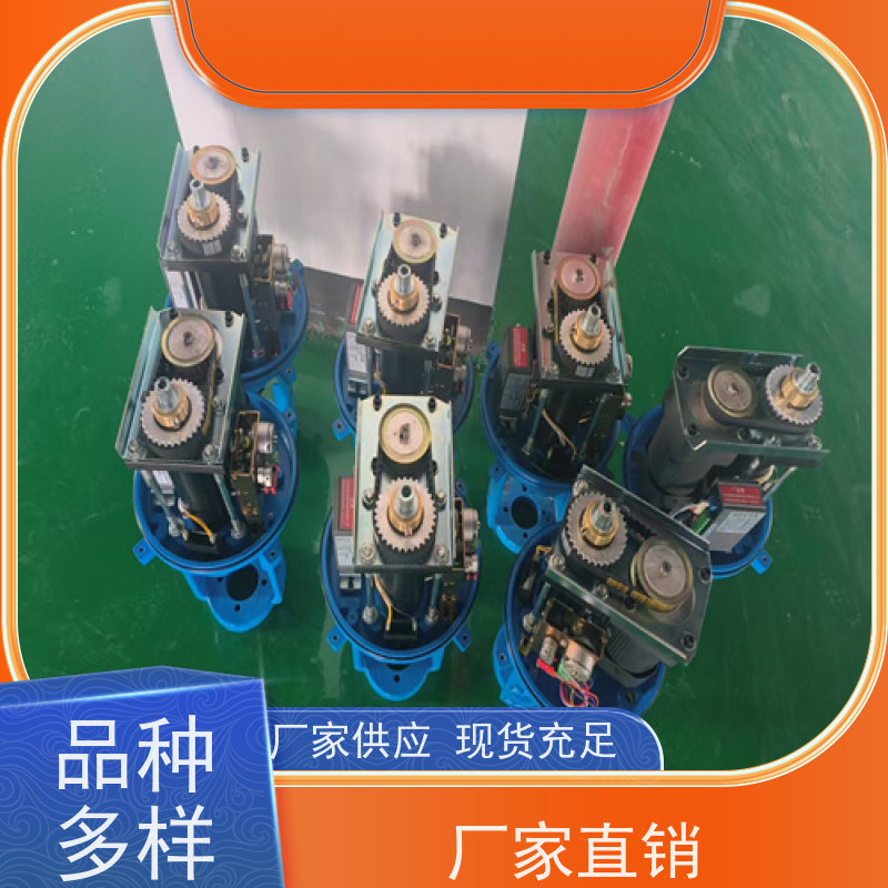 瑞浦 天然气用电动流量 DN50，DN40直通式 ZDLP-25C ,DN80