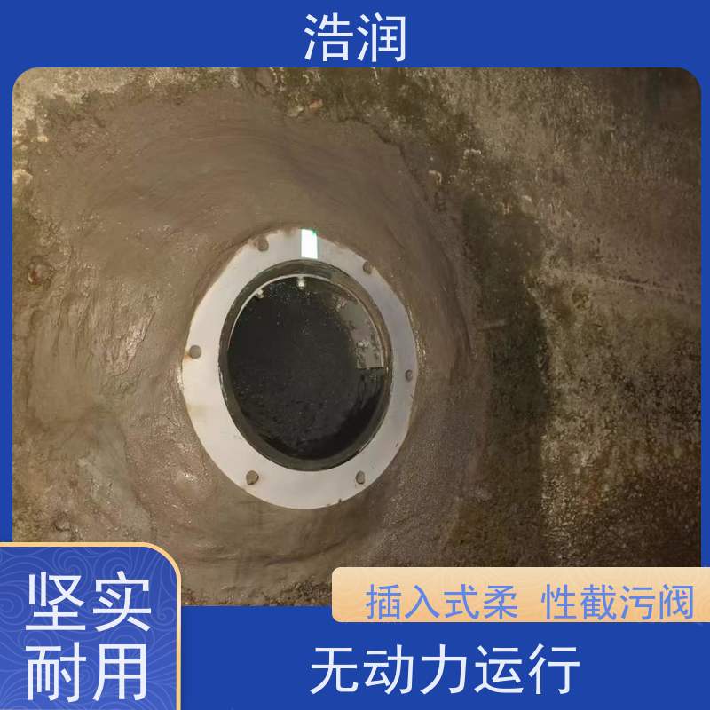 浩润 管中型防倒灌器 鸭嘴阀 处理污水量 10-8000m3/h 按需定制