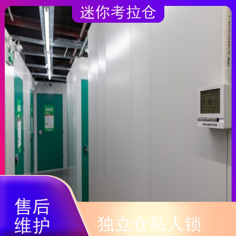 迷你考拉仓广州租赁一人一仓搬家物品寄存仓库
