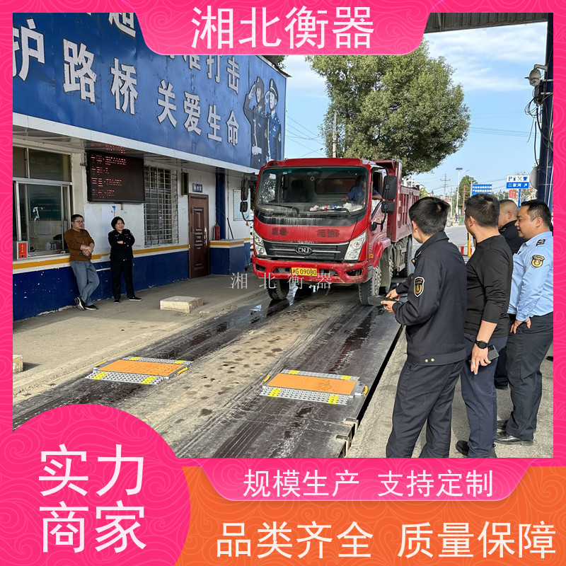 无线便携式汽车称重仪 治超手持式仪表轴重秤 查超载用称重地磅称