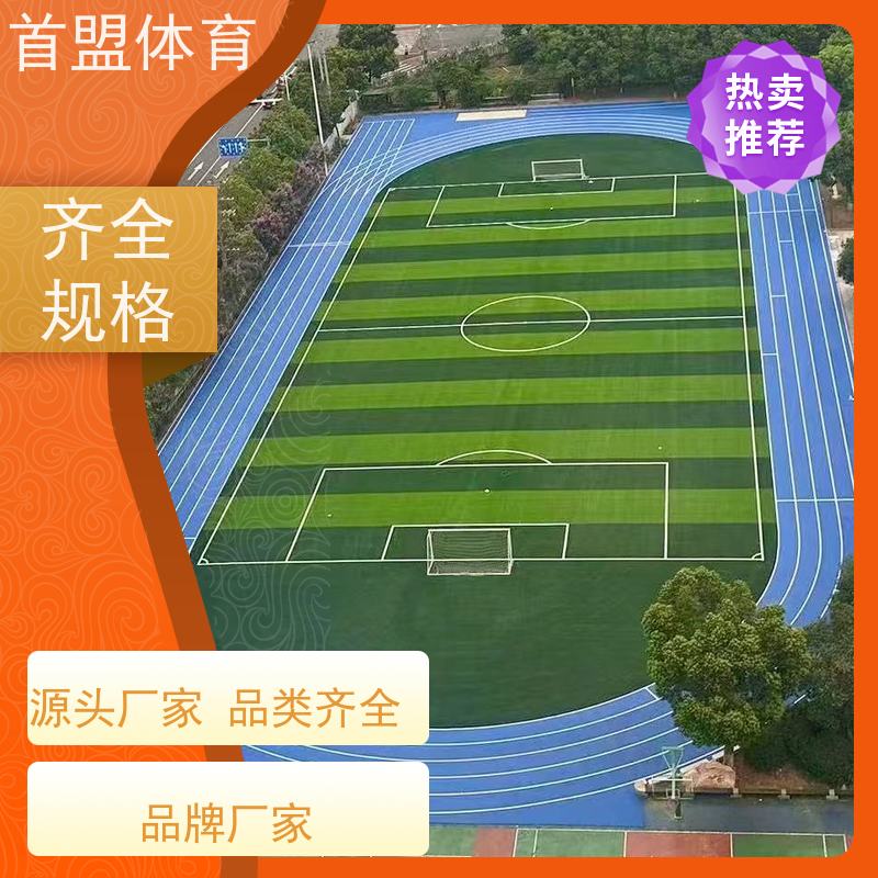 首盟体育 市政工程 预制型橡胶跑道卷材 资质齐全 耐候性强