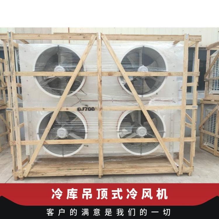 博泽制冷冷冻设备冷库制冷风机冷冻冷藏制冷设备DL40/DJ20/DD30㎡
