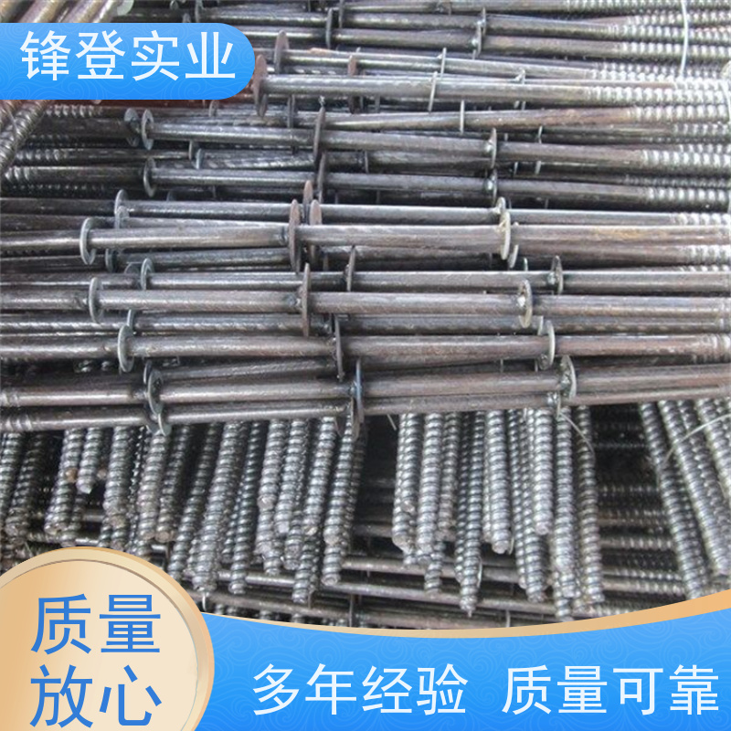 锋登实业 建筑模板用穿 墙丝 生产厂家 地下管廊 三节式止水螺栓