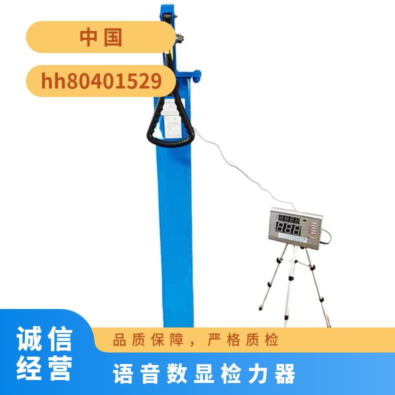 YSJ-20数显检力器 碳钢材质 消防训练专用测力器 规格齐全