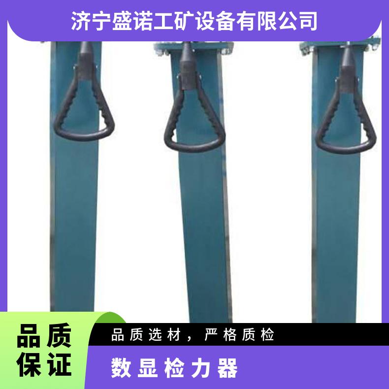 铸钢检力器YSJ-20 矿山救护专用 精准数显语音播报