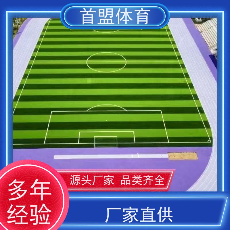 首盟体育 公园步道 预制型橡胶跑道卷材 源头厂家 防滑耐磨