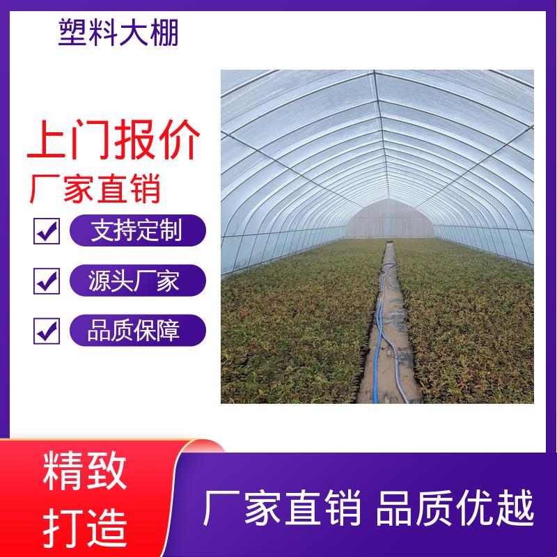 图6