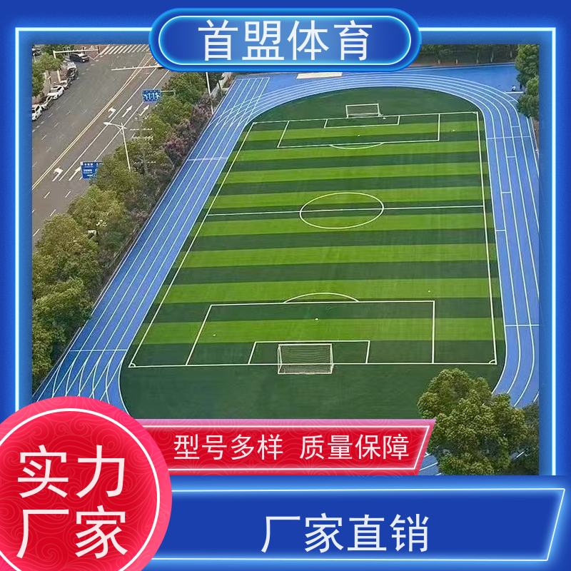 首盟体育 市政工程 预制型橡胶跑道卷材 资质齐全 施工便捷