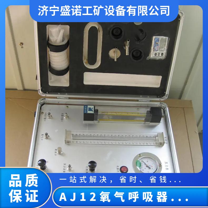 矿用自救器检测装置呼吸器校验仪AJ12B自动补给方便快捷安全性高