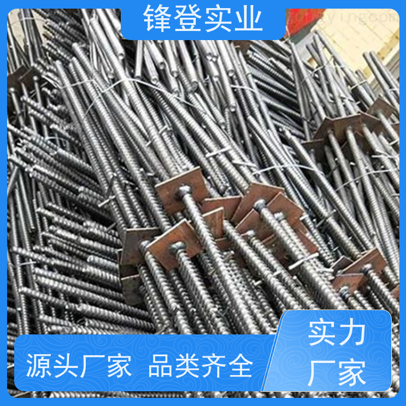 锋登实业 粗牙细牙可定制 地下管廊 高强度穿墙丝杆 三节式止水螺栓