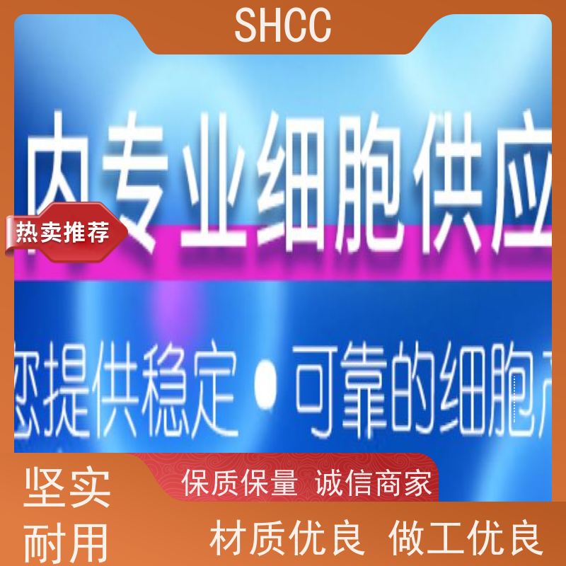 原厂 全国包邮 大鼠肾小球系膜细胞 代数低 活性高
