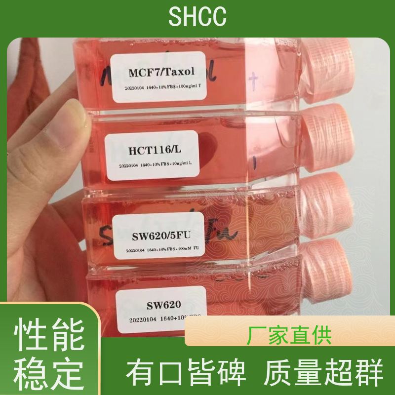 原厂 全国包邮 猪主动脉内皮细胞永生化 代数低 活性高