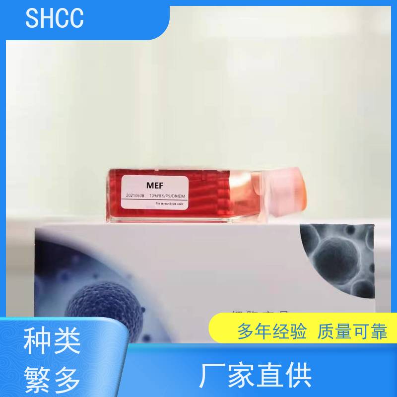 原厂 全国包邮 J.gamma1细胞 已通过STR鉴定提供报告 代数低 活性高