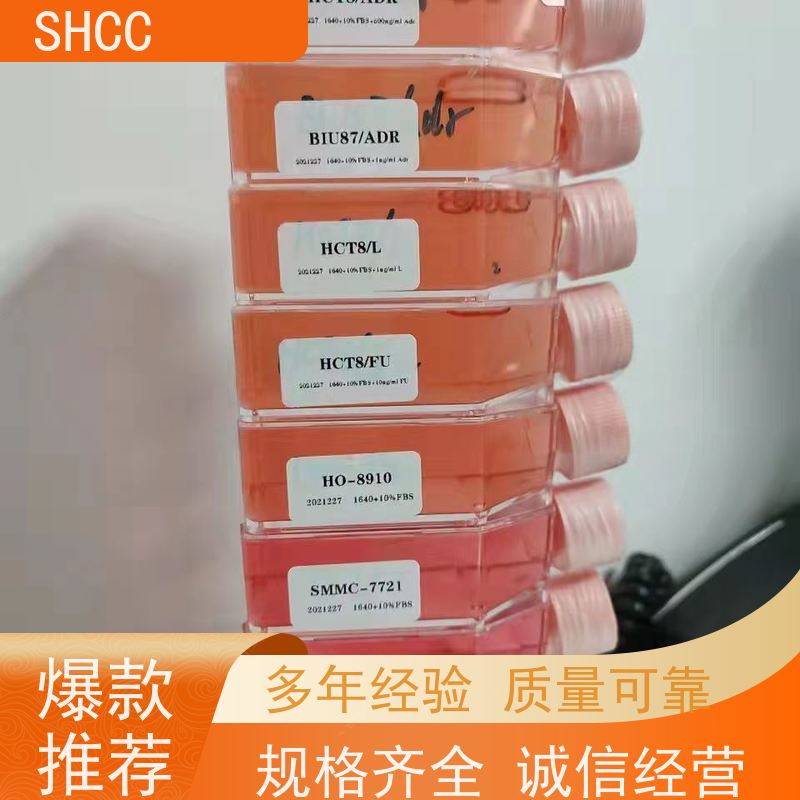 -*周细胞生长因子(PGS)ELISA试剂盒
