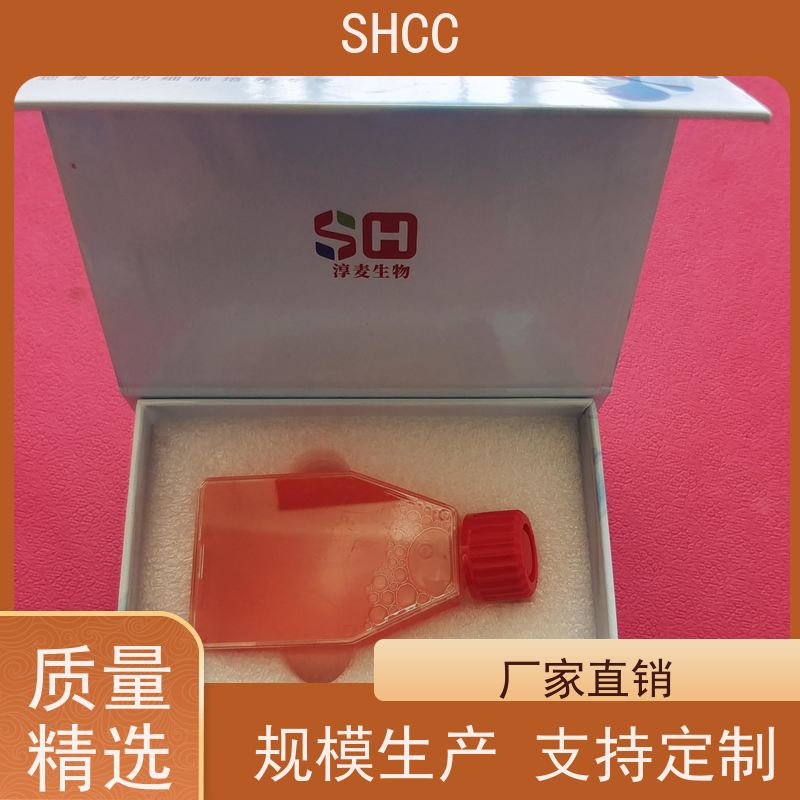 原厂 全国包邮 猪原代皮肤成纤维细胞永生化 代数低 活性高