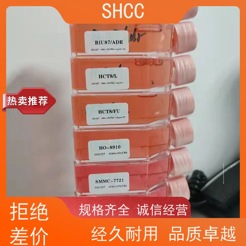 特级胎牛血清