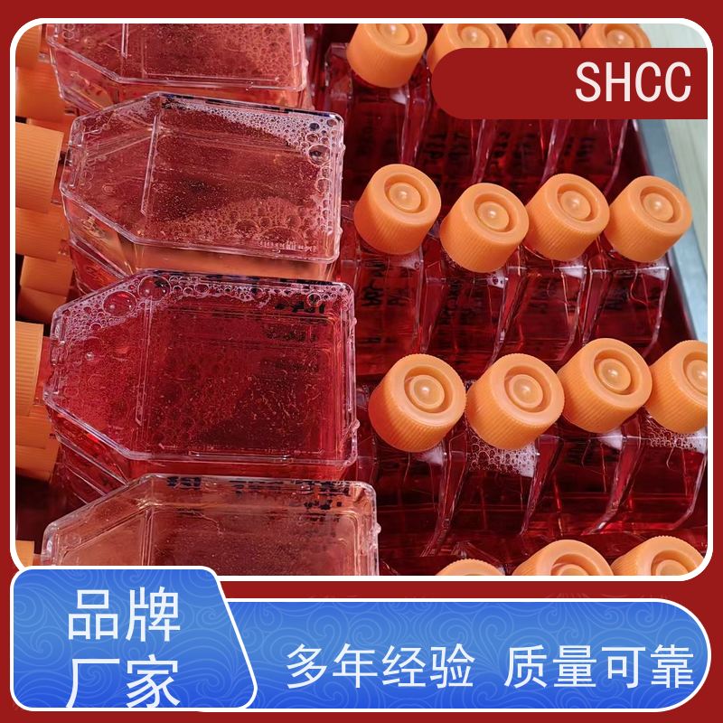牛血管内皮细胞生长因子165(VEGF165)ELISA试剂盒