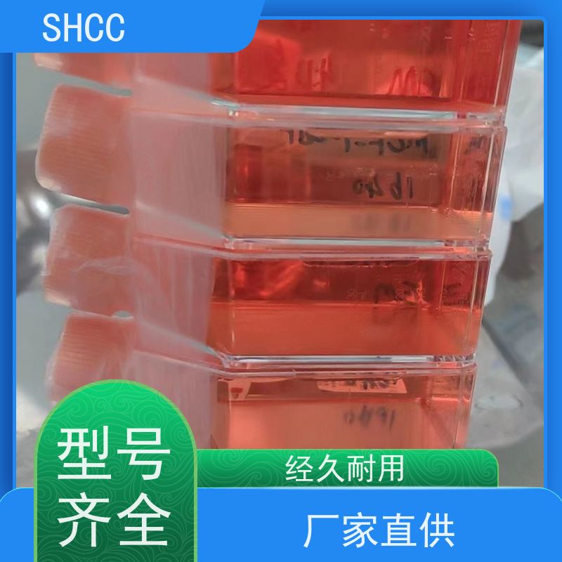 原厂 全国包邮 BNLCL.2细胞 已通过STR鉴定提供报告 代数低 活性高