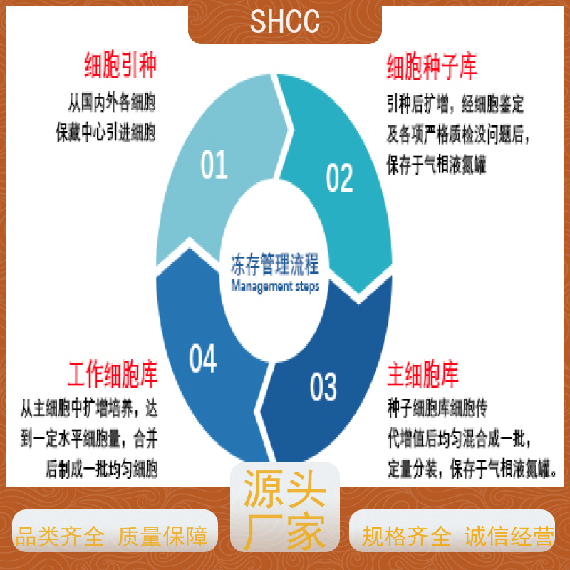原厂 全国包邮 小鼠骨髓纤维原细胞 代数低 活性高