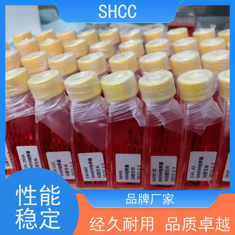 胎牛血清/科研实验/化学试剂//产品优级品