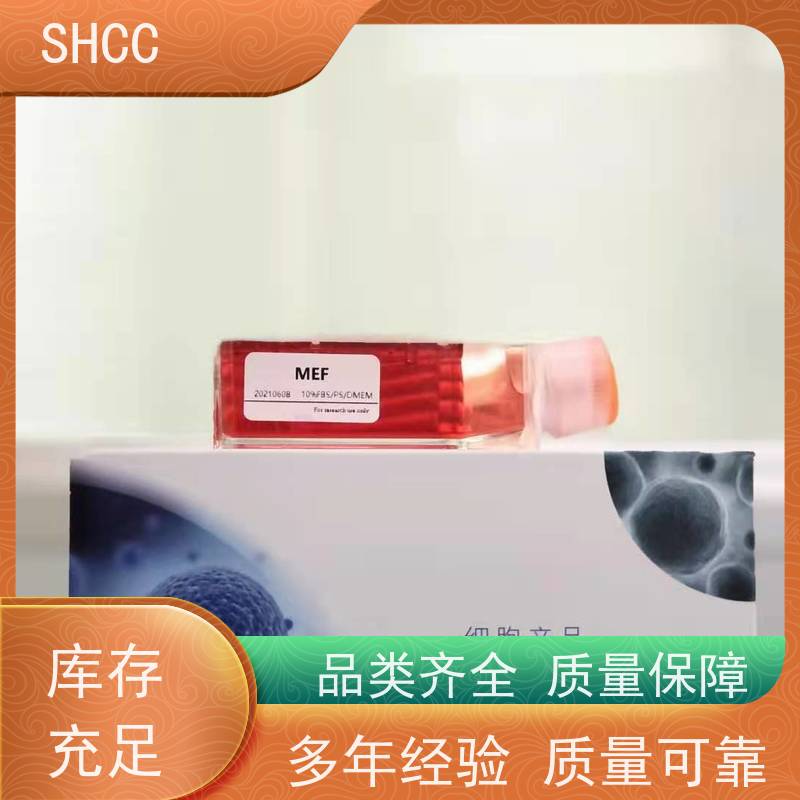 胎牛血清（标准级） 栋成生物 性能稳定 品质优异 欢迎致电