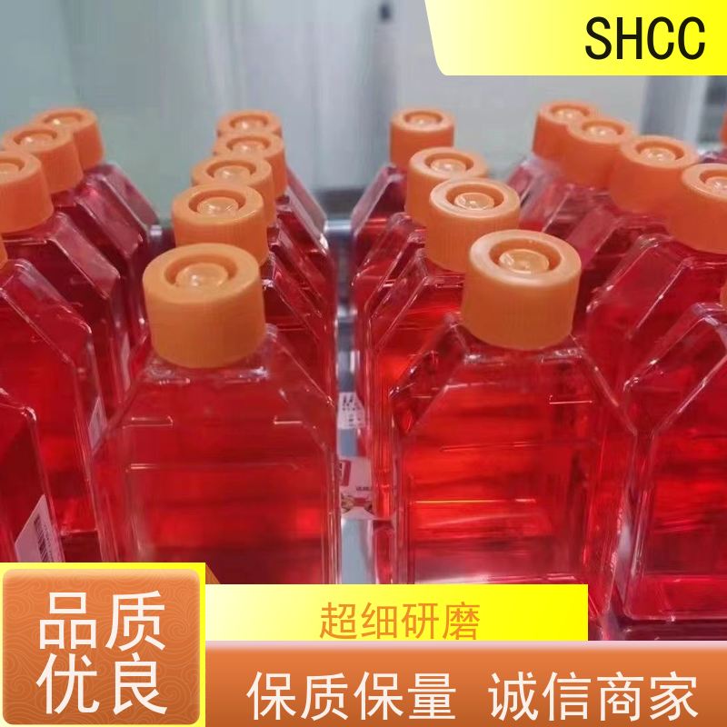 大鼠血管内皮细胞生长因子(VEGF）elisa检测试剂盒