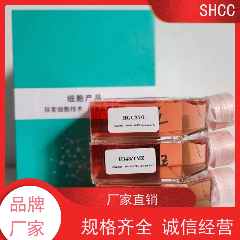 Fetal Bovine Serum 南美胎牛血清 A5256701 500mL