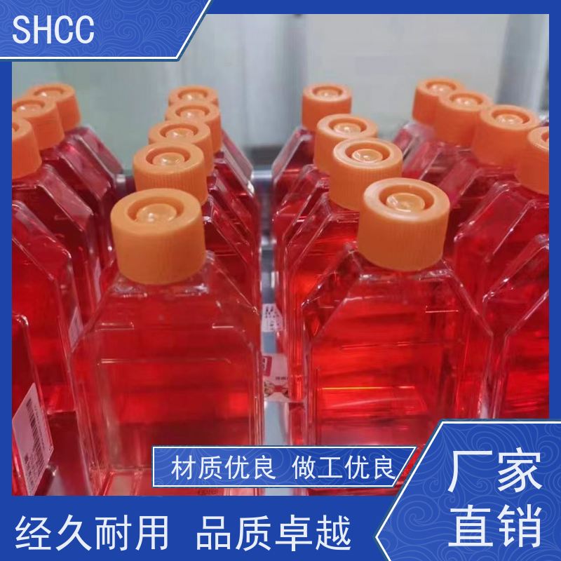 原厂 全国包邮 WT小鼠淋巴管内皮细胞永生化 代数低 活性高