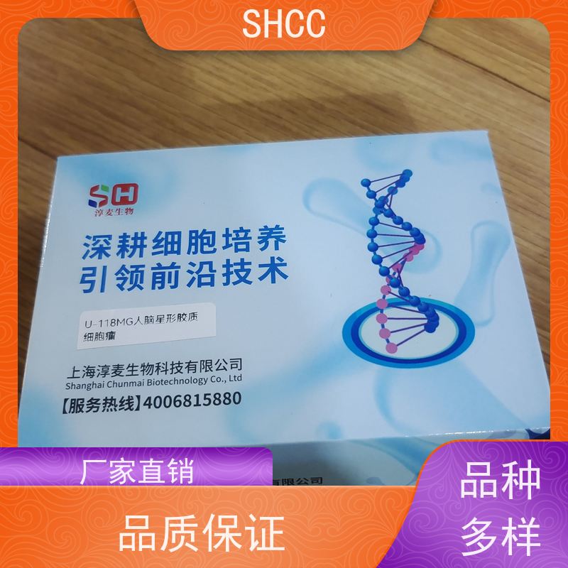 原厂 全国包邮 小鼠胰岛内皮细胞 代数低 活性高