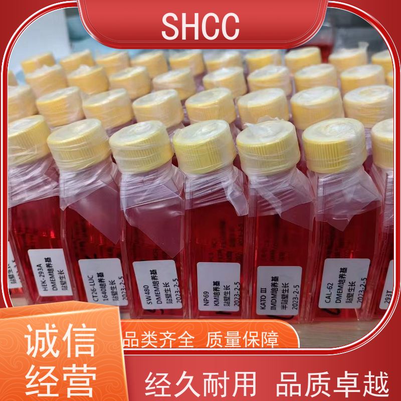 Fetal Bovine Serum Gold 胎牛血清(特级) 动物细胞培养基