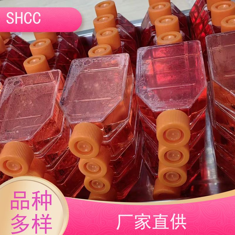 Fetal Bovine Serum 南美胎牛血清 A5256701 500mL