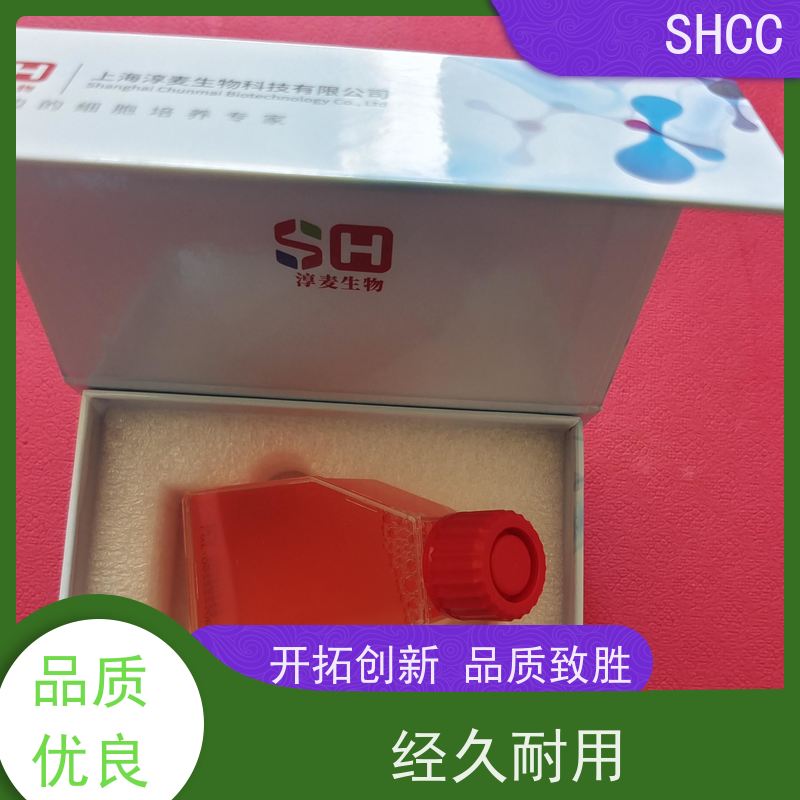 原厂 全国包邮 小鼠肺癌鳞癌细胞 代数低 活性高