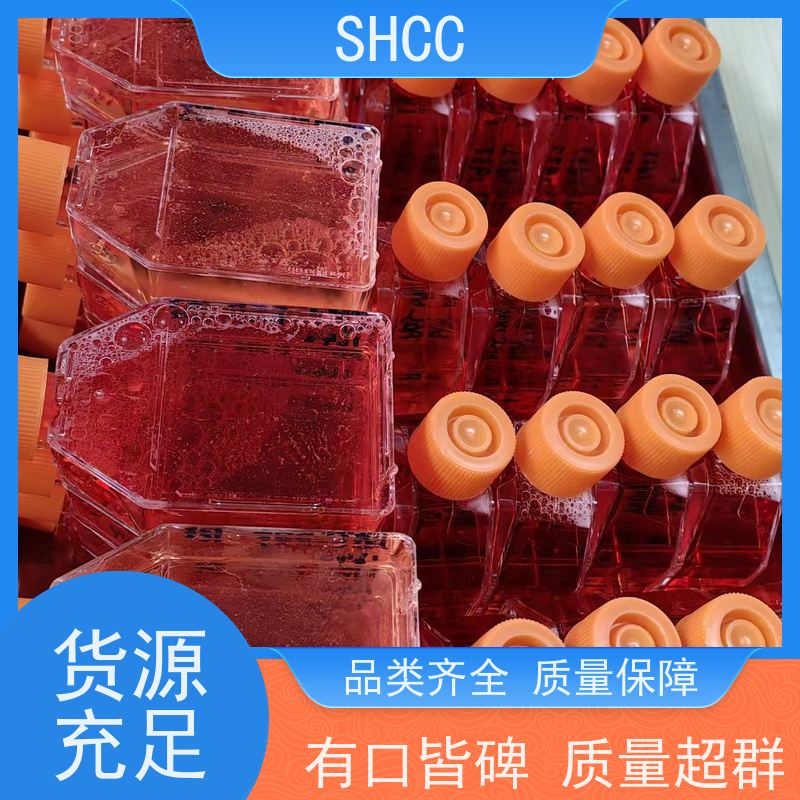 西唐生物 小鼠干细胞生长因子(mouse SCF)ELISA试剂盒