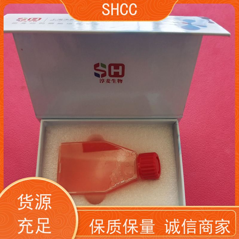 欧洲胎牛血清 代理：原装正品 13011-0311-100mL