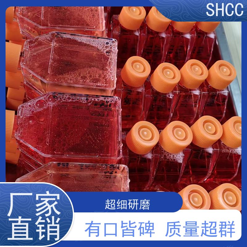 Thermo赛默飞胎牛血清适用于科研实验|生物公司|研究院 10091148