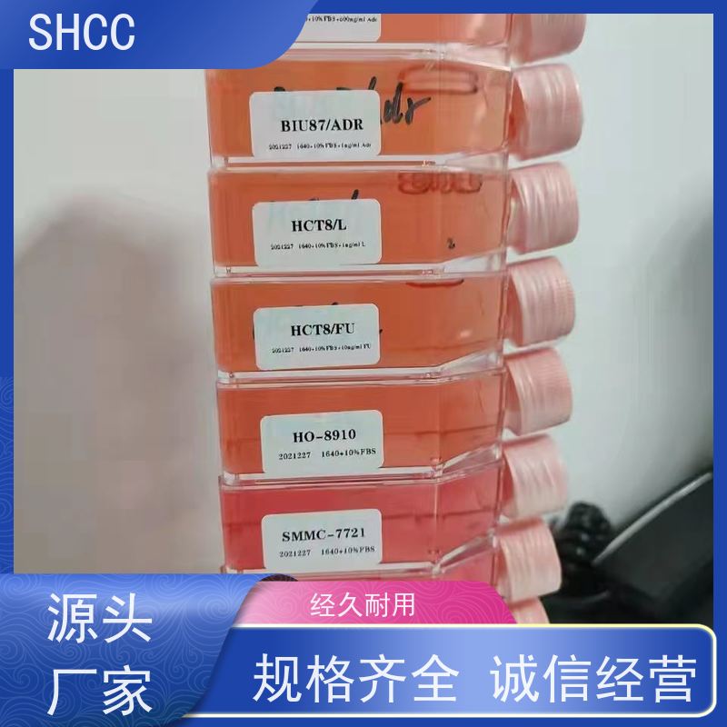 人血管内皮细胞生长因子（VEGF）elisa试剂盒 免费代测 特异性强