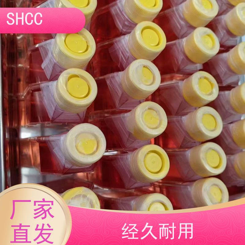 原厂 全国包邮 大鼠脑微血管内皮细胞永生化 代数低 活性高
