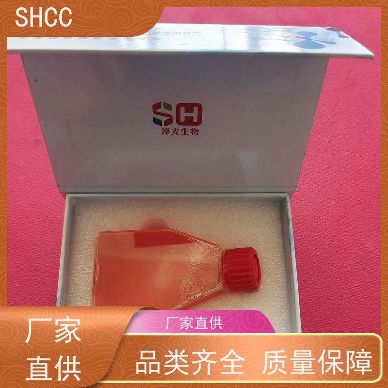 Fetal Bovine Serum (FBS)；胎牛血清（基础）；厂家直供