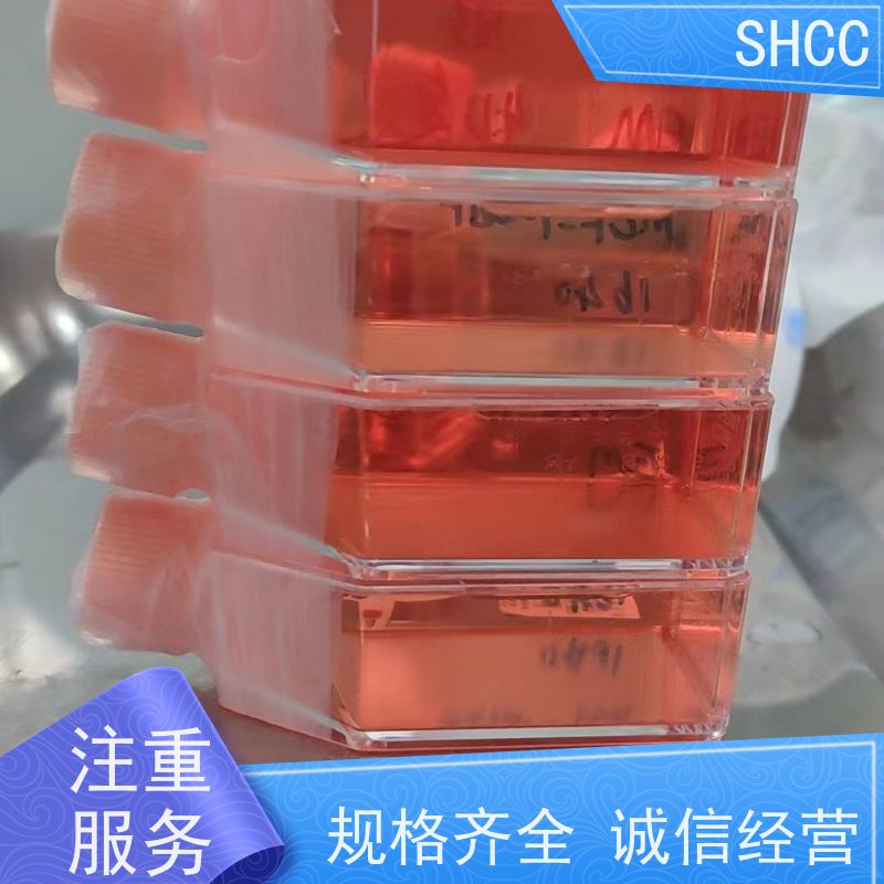 特级胎牛血清（无菌过滤 热灭活）