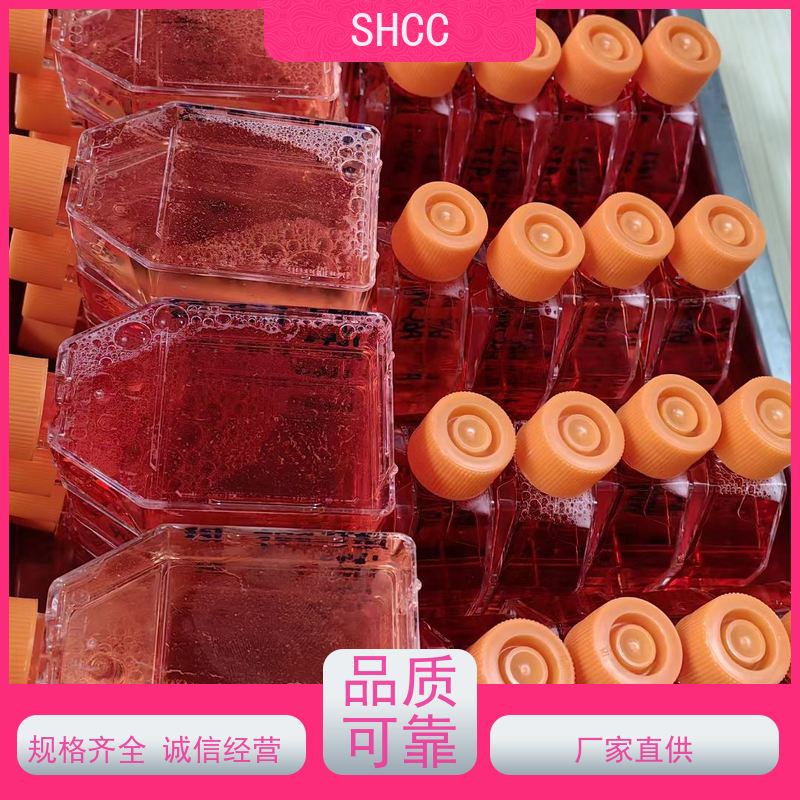 原厂 全国包邮 小鼠脑微血管内皮细胞株 代数低 活性高