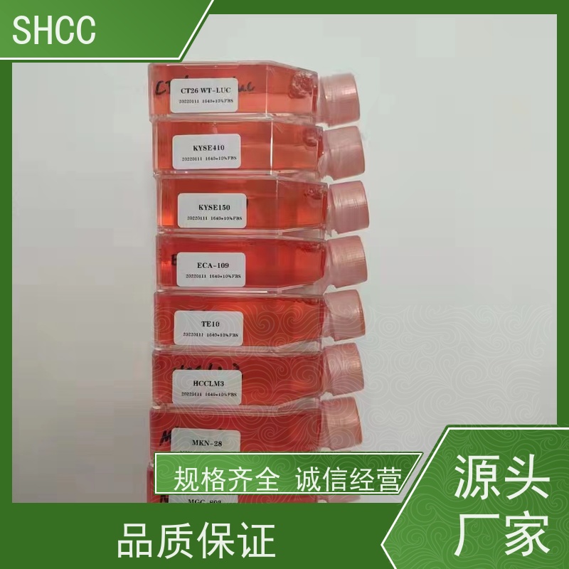 原厂 全国包邮 大鼠胸大动脉平滑肌细胞 代数低 活性高
