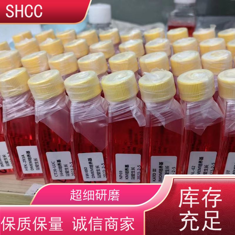 10091148 thermo 赛默飞 胎牛血清 特级