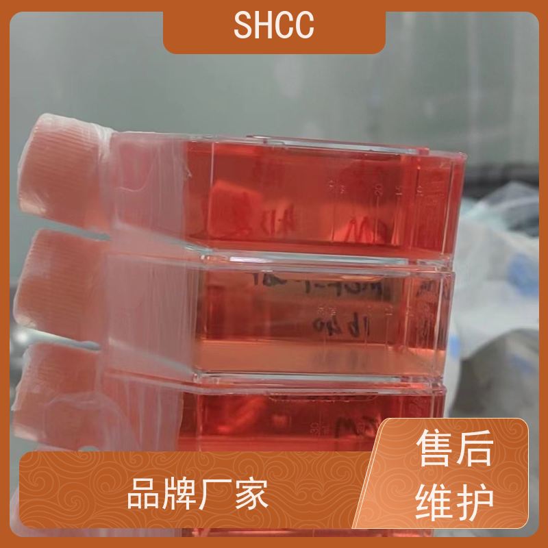 大鼠外泌体（Exosome)elisa试剂盒规格96T/48T